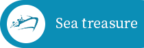 Sea tresure サイト